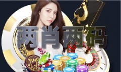 大乐透汗青号码500期V